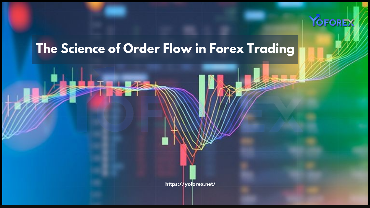 Forex Trading