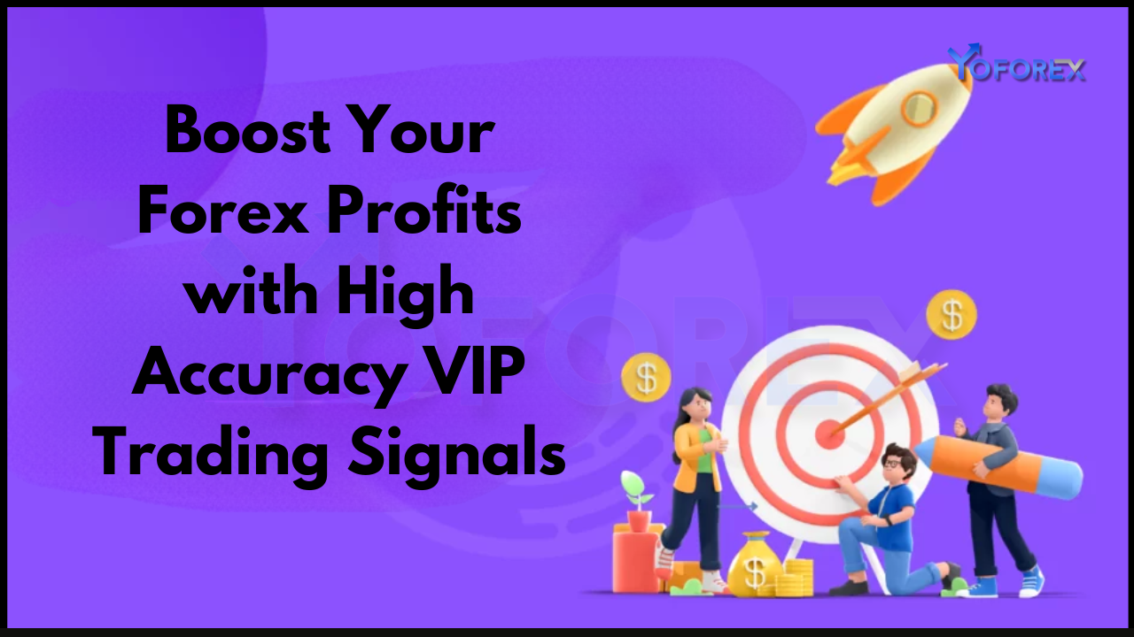Your Forex Profits