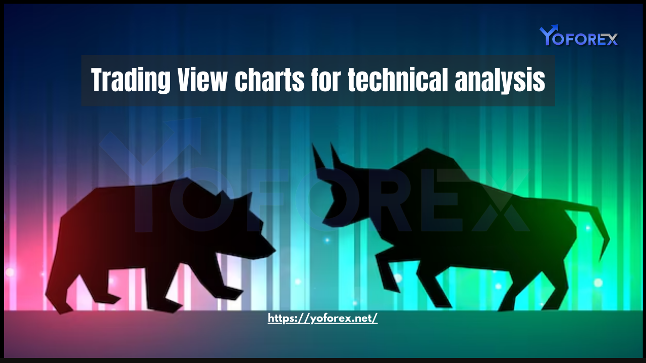TradingView