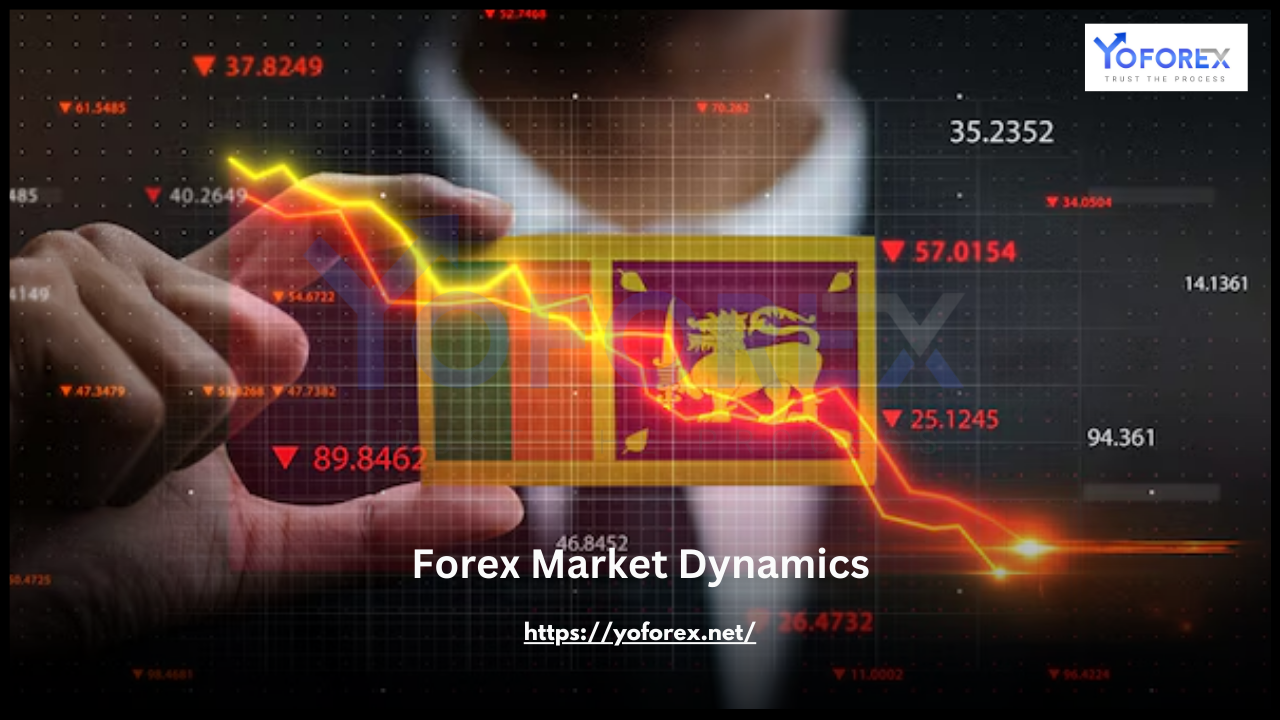 Forex Market