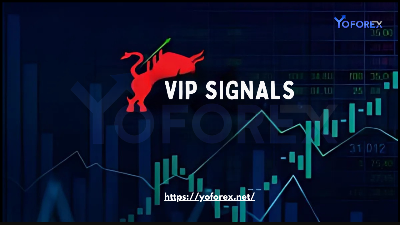 VIP Forex Signals