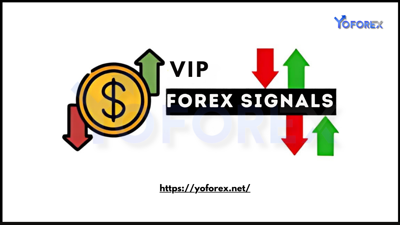 Exclusive VIP Signals