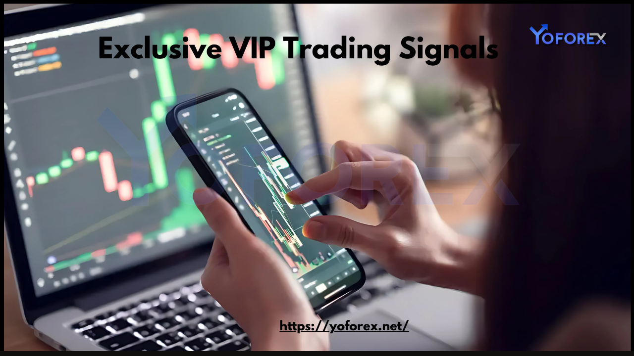 Exclusive VIP Trading Signals