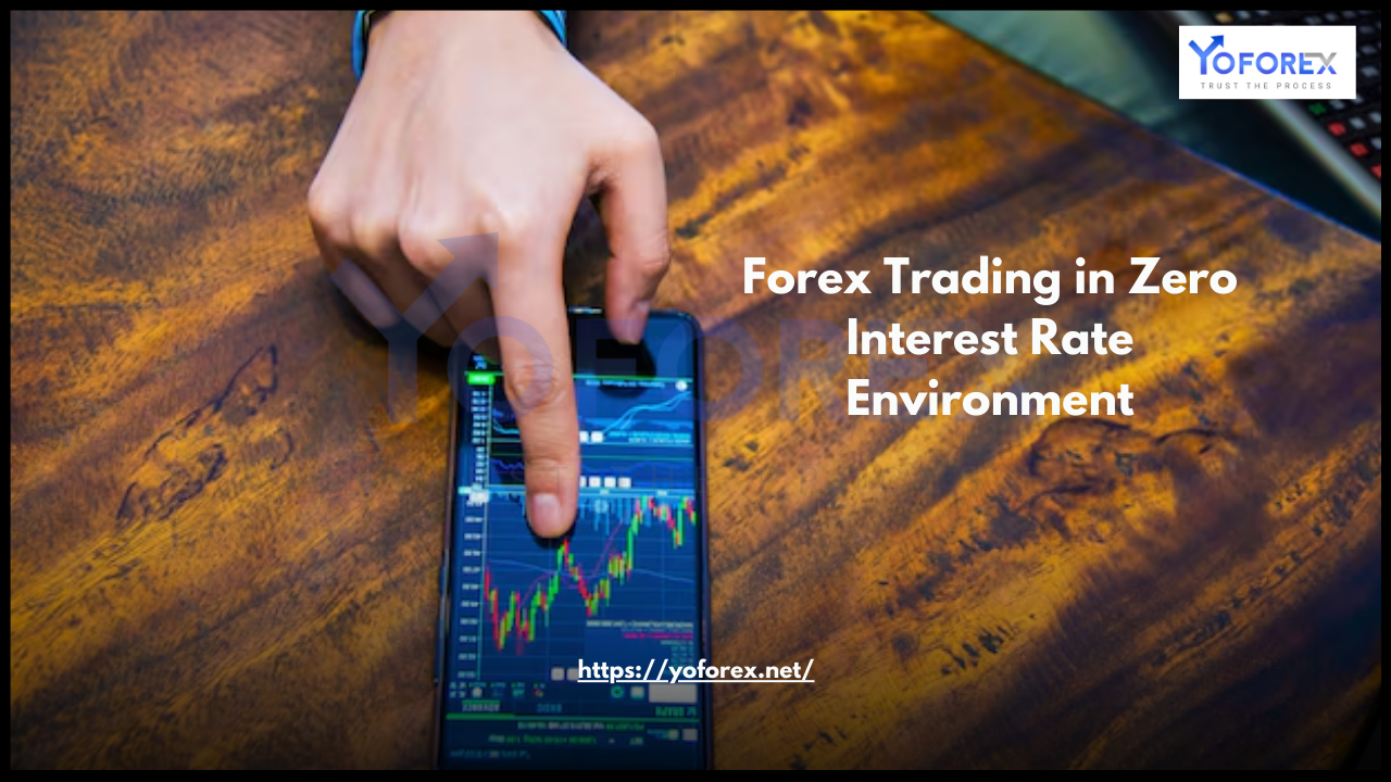 Forex Trading 64