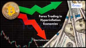 Forex Trading