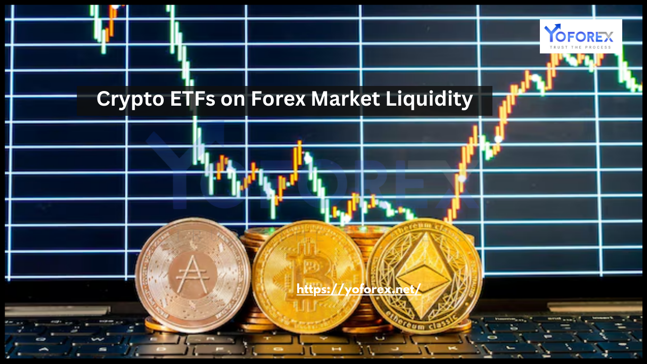 Forex Market