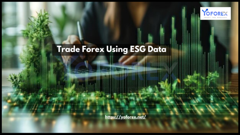 Trade Forex